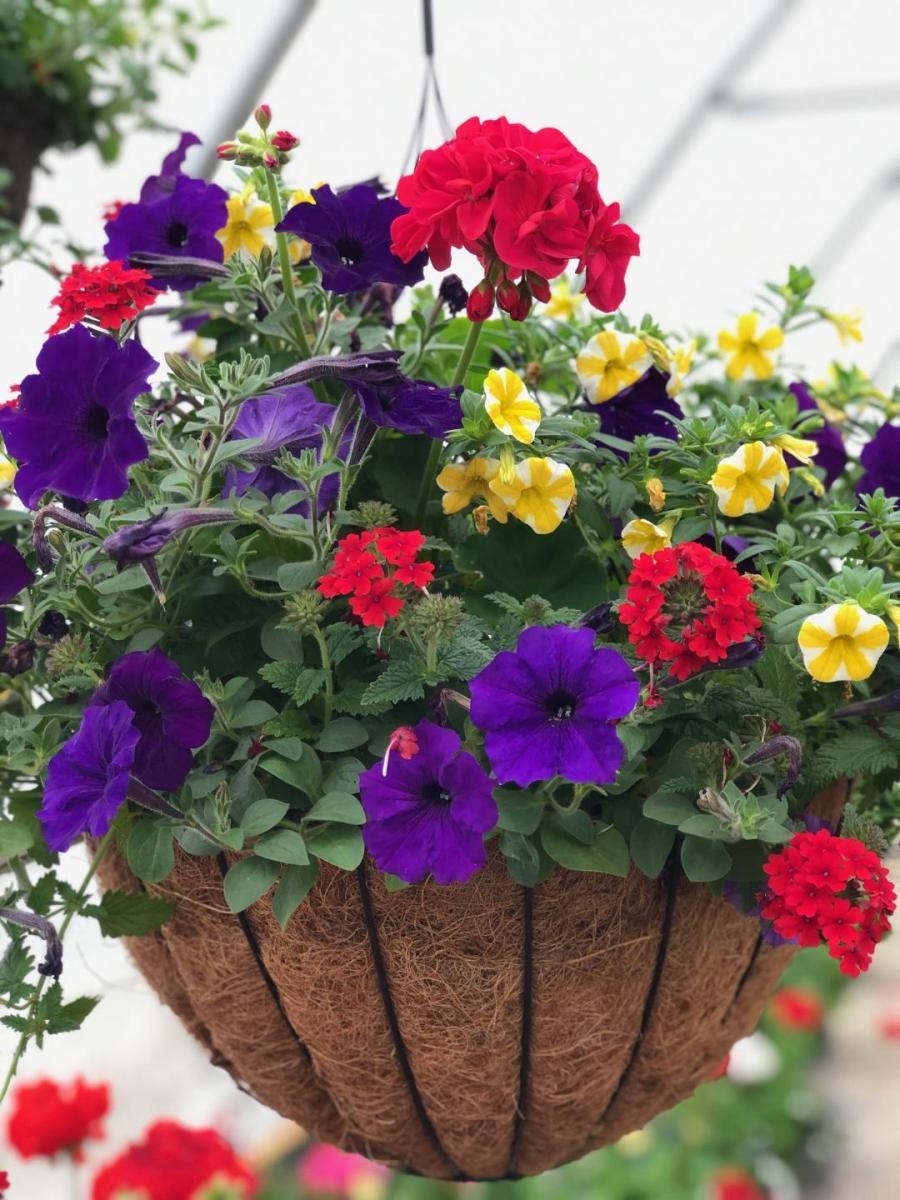 16" Cocoa Baskets Borzynskis Farm & Floral Market